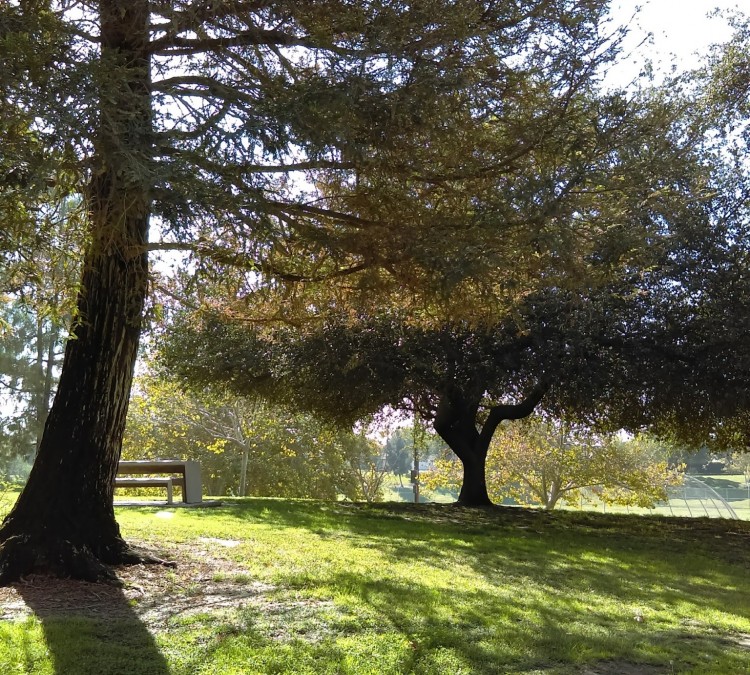 cypress-park-photo